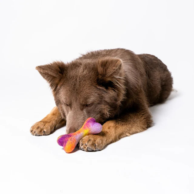 WAGNESTG  Bone Felt Wool Toy