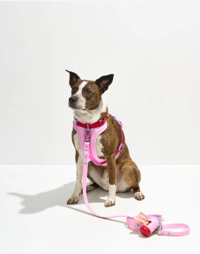 WAGNESTG  Cushioned Harness + Waterproof Leash Walk Kit