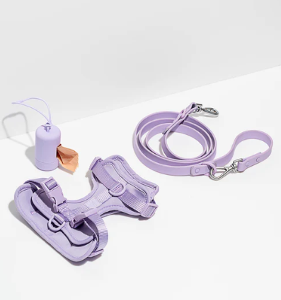 WAGNESTG  Cushioned Harness + Waterproof Leash Walk Kit