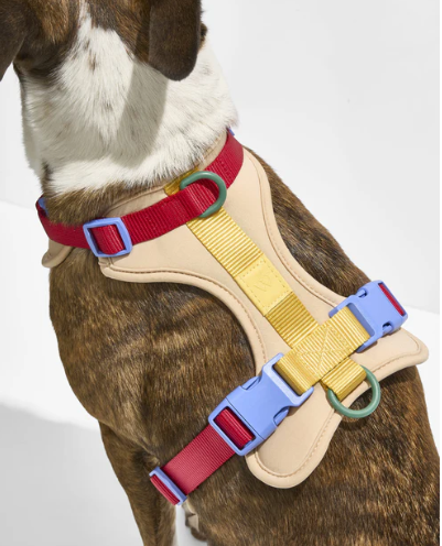 WAGNESTG  Cushioned Harness + Waterproof Leash Walk Kit