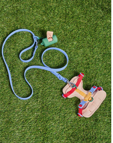 WAGNESTG  Cushioned Harness + Waterproof Leash Walk Kit