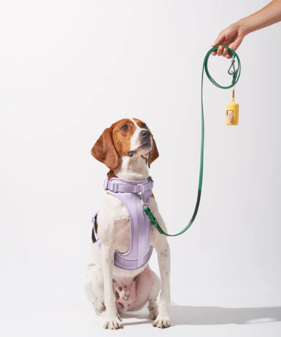 WAGNESTG  Cushioned Harness + Waterproof Leash Walk Kit