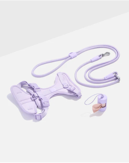 WAGNESTG  Cushioned Harness + Hands-Free Rope Leash Walk Kit