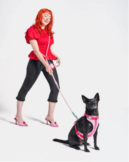 WAGNESTG  Cushioned Harness + Hands-Free Rope Leash Walk Kit