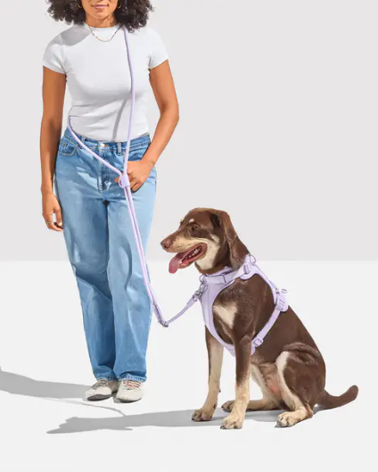 WAGNESTG  Cushioned Harness + Hands-Free Rope Leash Walk Kit
