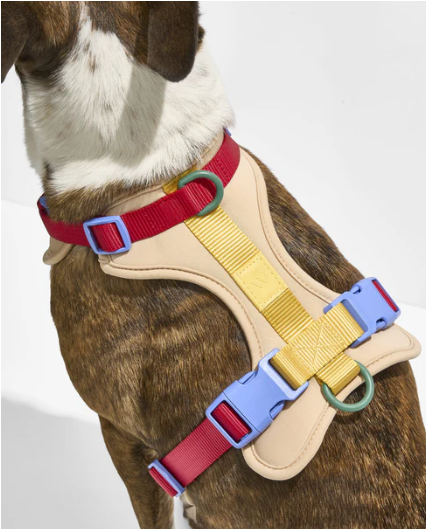 WAGNESTG  Cushioned Harness + Hands-Free Rope Leash Walk Kit