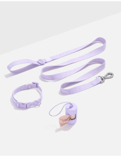 WAGNESTG  Quick-Release Collar + Lightweight Leash Walk Kit