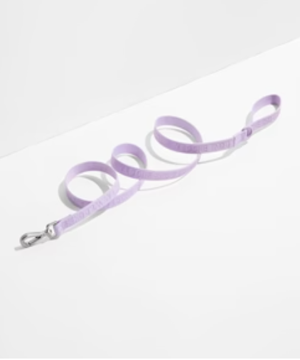 WAGNESTG  Quick-Release Collar + Lightweight Leash Walk Kit