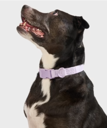 WAGNESTG  Quick-Release Collar + Lightweight Leash Walk Kit