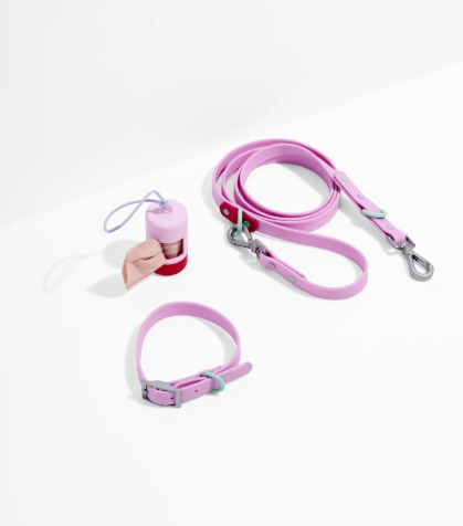 WAGNESTG  Waterproof Collar + Waterproof Leash Walk Kit