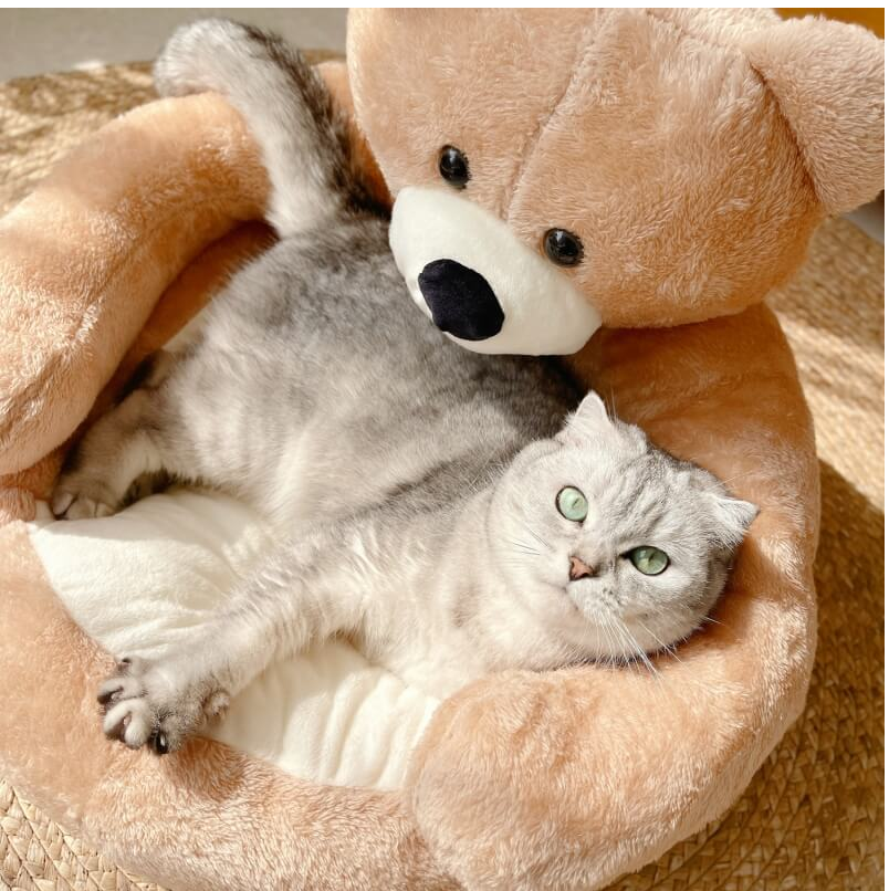 WAGNESTG  Cute Detachable Cuddle Bear Cat Bed