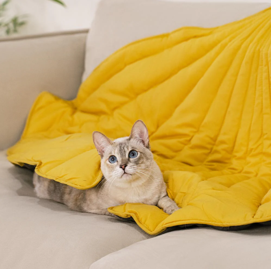 WAGNESTG  All-Season Washable Throw Furniture Protector Cat Bed Blankets