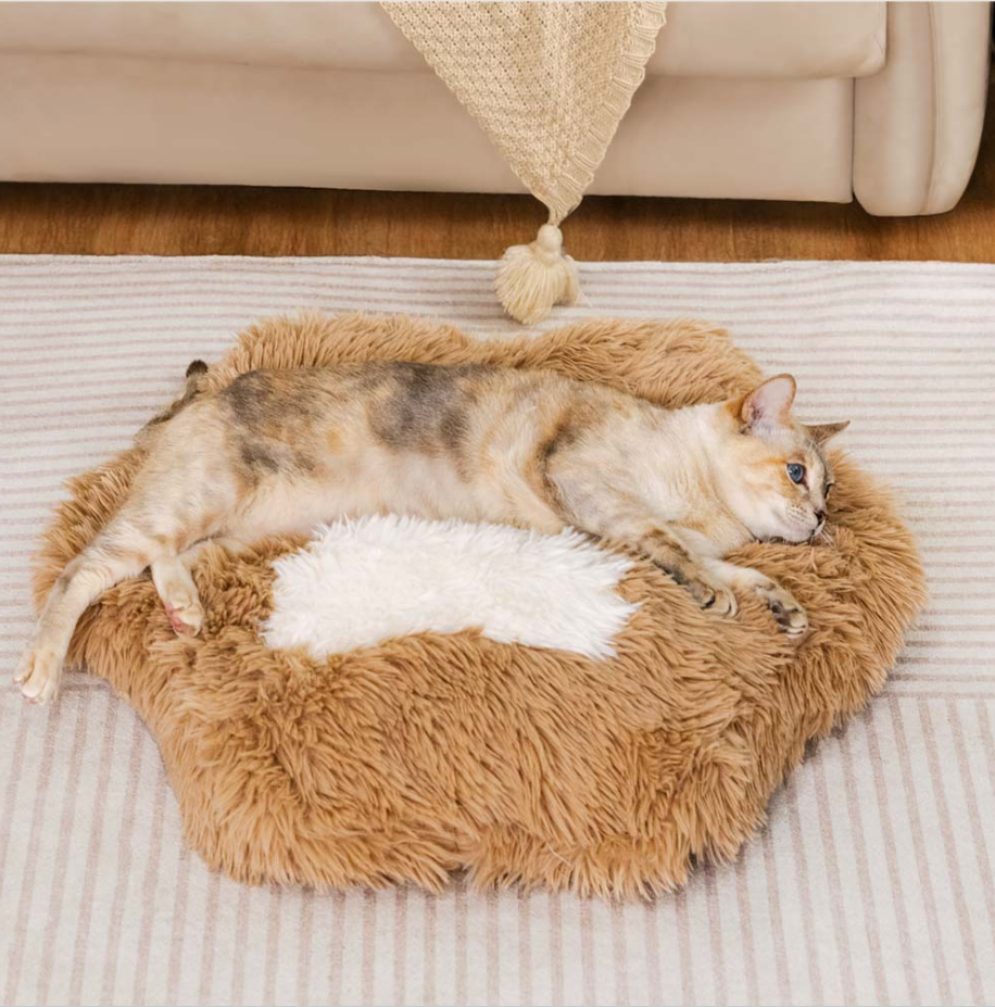 WAGNESTG  Washable Fluffy Non-Slip Cozy Cat Bed-Paw Spot