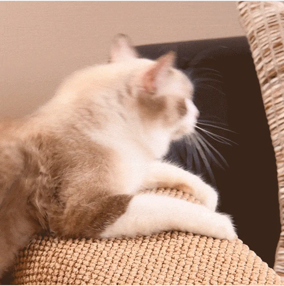 WAGNESTG  Adjustable Faux Sisal Scratch-Resistant Sofa Armrest Protector Cover for Cats