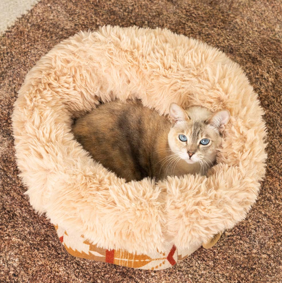 WAGNESTG  Large Reversible All-Season Indie Boho Cat Carrier