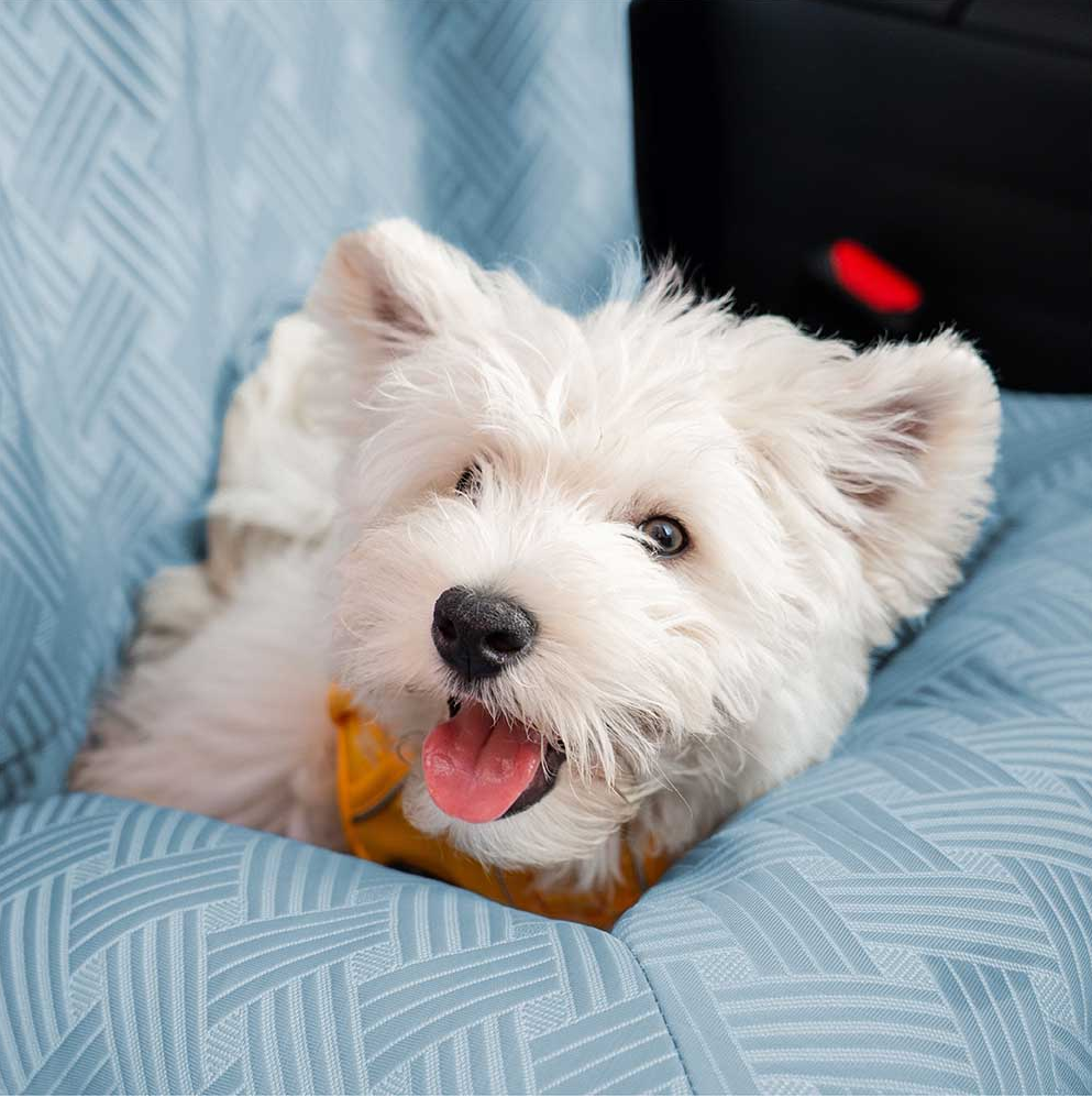WAGNESTG  Cooling Travel Bolster Safety Back Seat Large Dog Car Seat Bed
