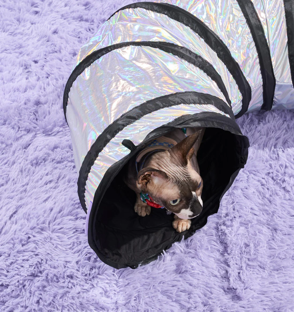 WAGNESTG  Cat Tunnel