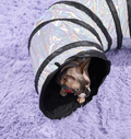 WAGNESTG  Cat Tunnel
