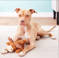 WAGNESTG  the Moose Plush Dog Toy, Medium