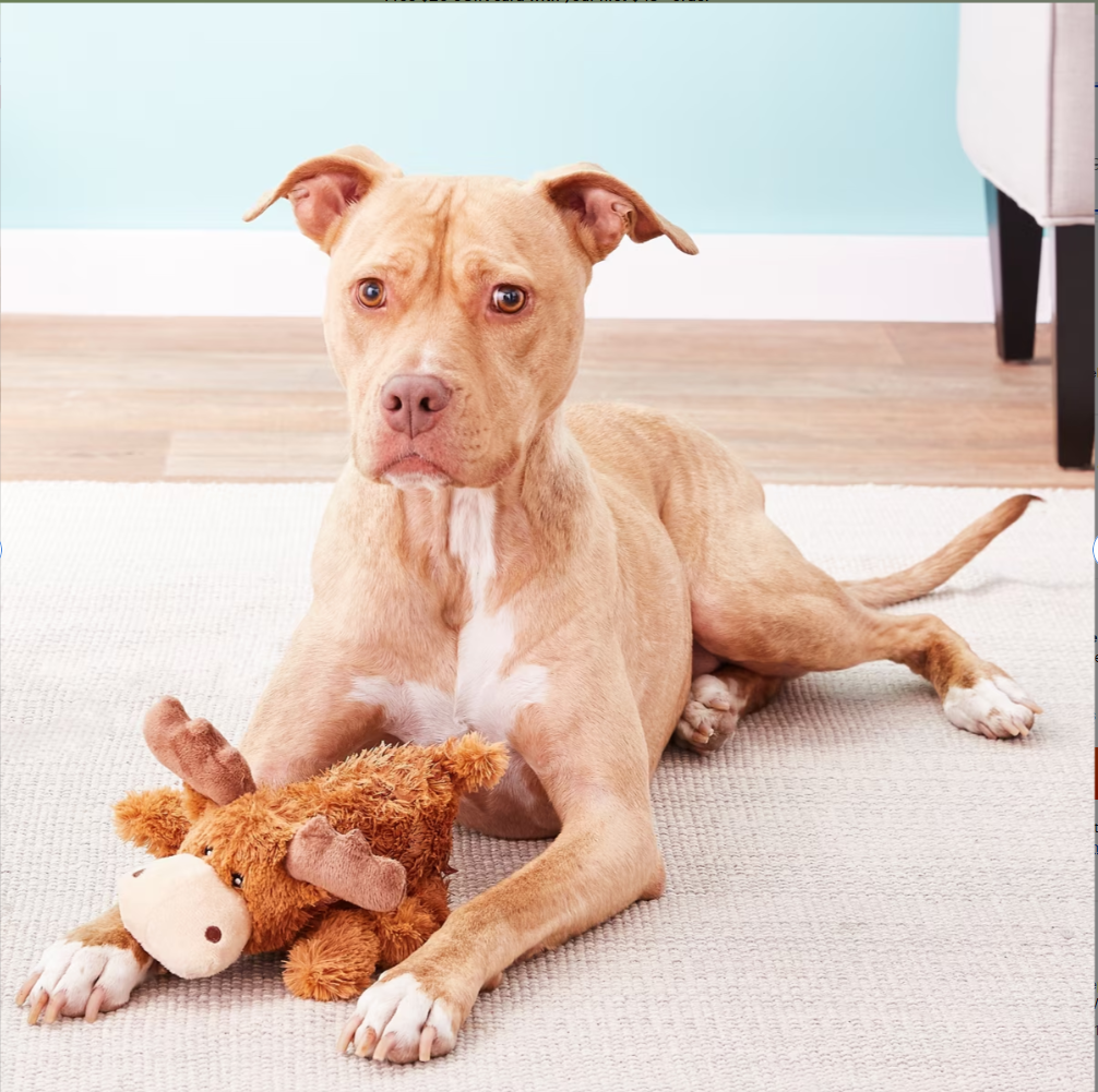WAGNESTG  the Moose Plush Dog Toy, Medium