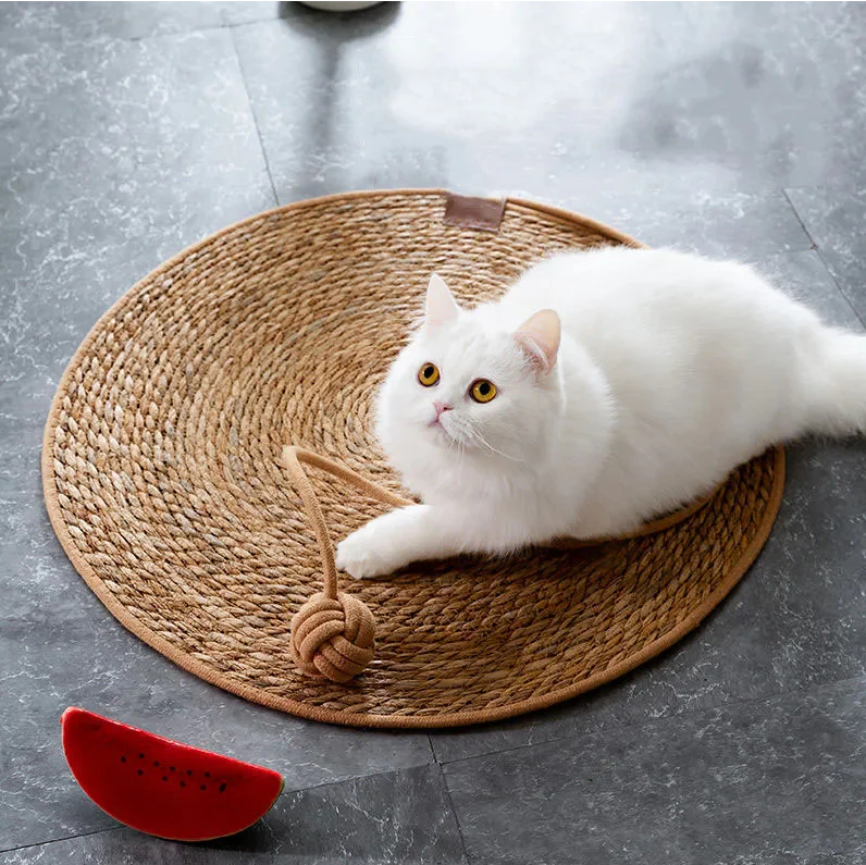 WAGNESTG  The Pawnder Mat
