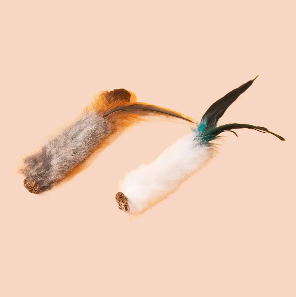 WAGNESTG  Soft Catch