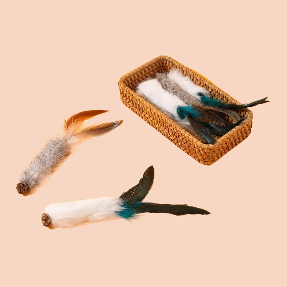WAGNESTG  Soft Catch