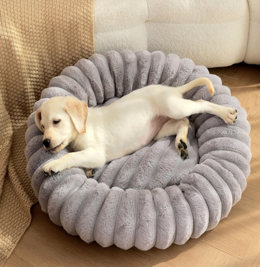 WAGNESTG  Ultra-Soft Plush Round Donut Support Dog & Cat Bed