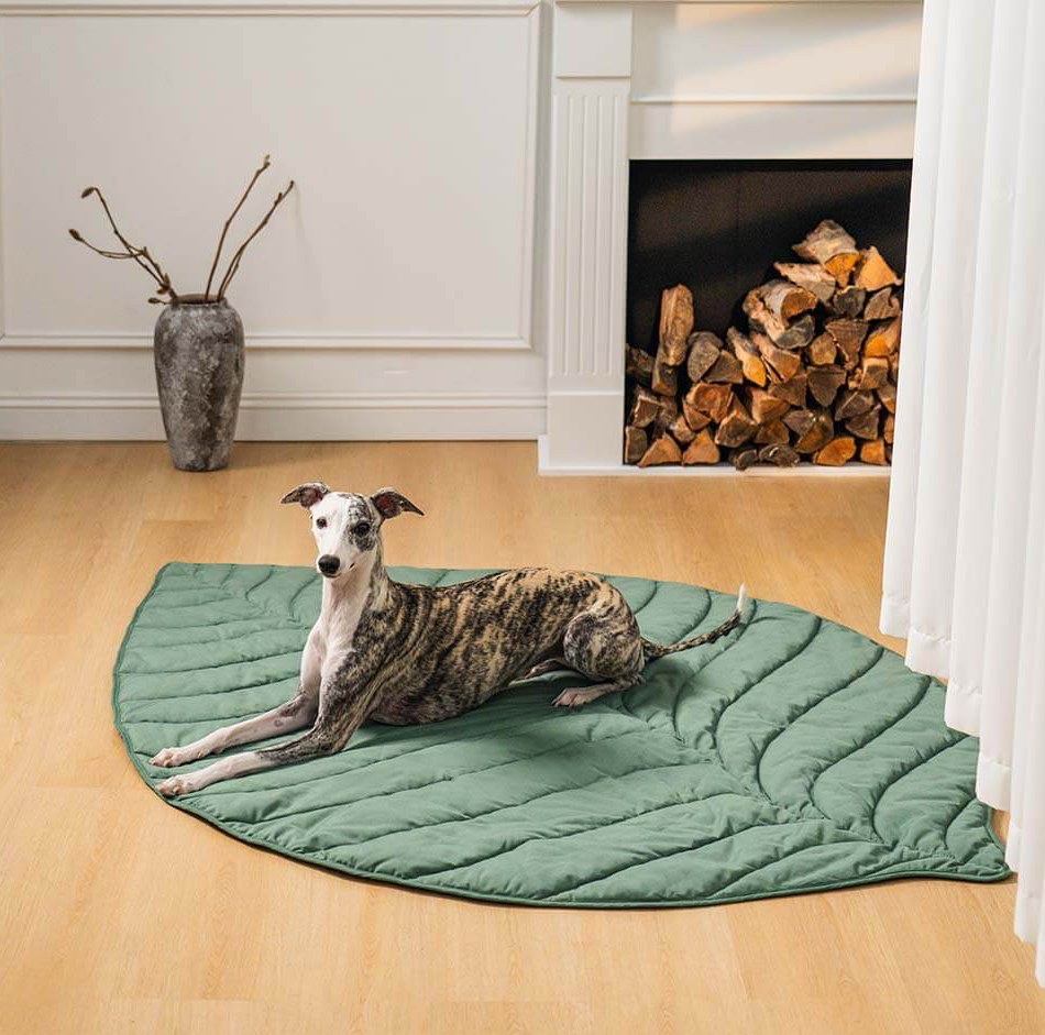 WAGNESTG  Super Large Leaf Shape Human Mat Dog Blanket