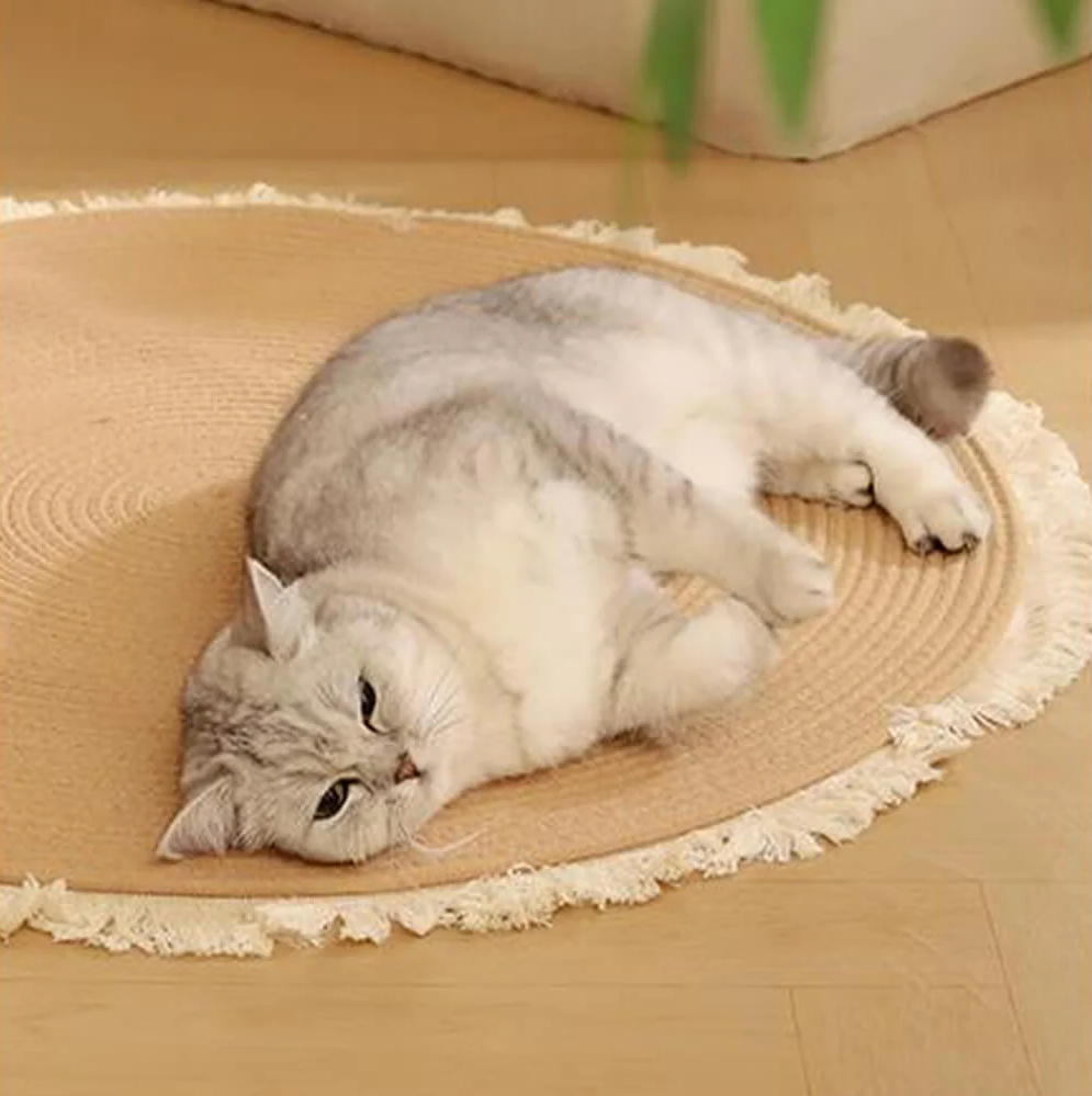 WAGNESTG  Nordic Handwoven Durable Cat Scratch Mat Rug with Fringe