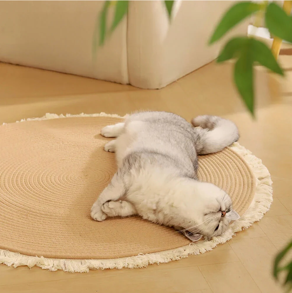 WAGNESTG  Nordic Handwoven Durable Cat Scratch Mat Rug with Fringe