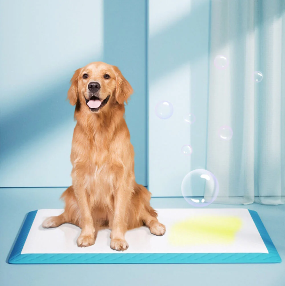 WAGNESTG  Dog Pee Training Pad - Disposable Pet Pads Absorbent & Leak-Proof