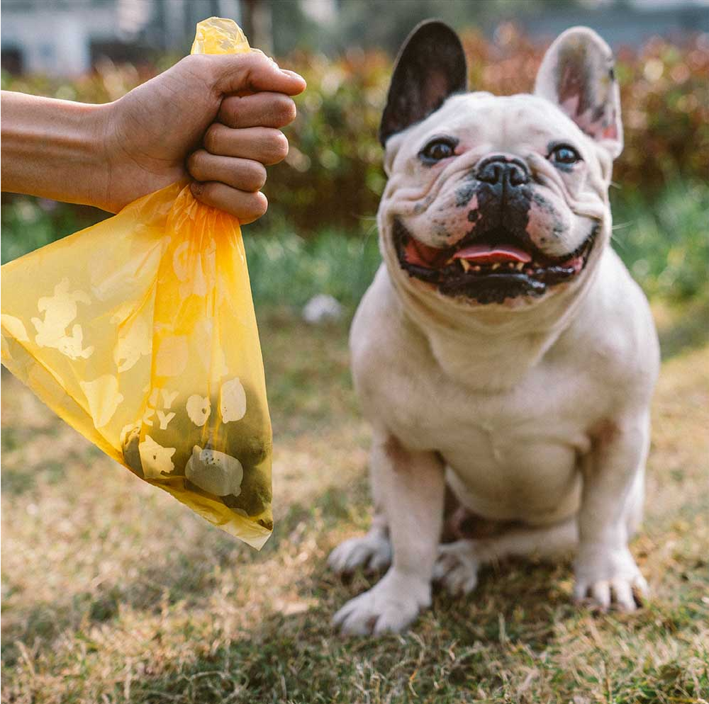 WAGNESTG  Lemon Scented Durable Recycled Poop Bags - Fresh Up