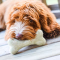 WAGNESTG  Bone Felt Wool Toy