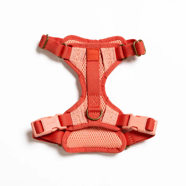 WAGNESTG  Harness