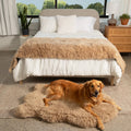 WAGNESTG  Luxe Faux Fur Orthopedic Dog Bed - Plush Sheep Tan