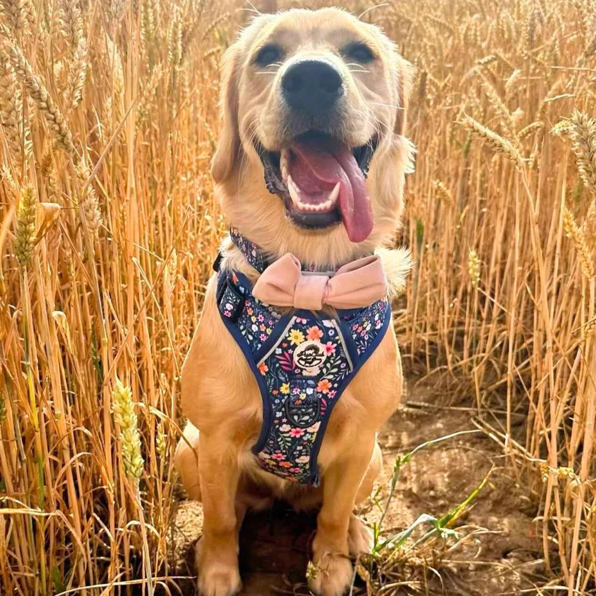 WAGNESTG   Harness - Summer Meadow