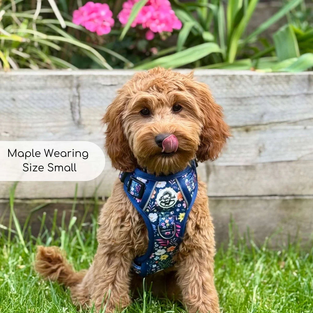 WAGNESTG   Harness - Summer Meadow