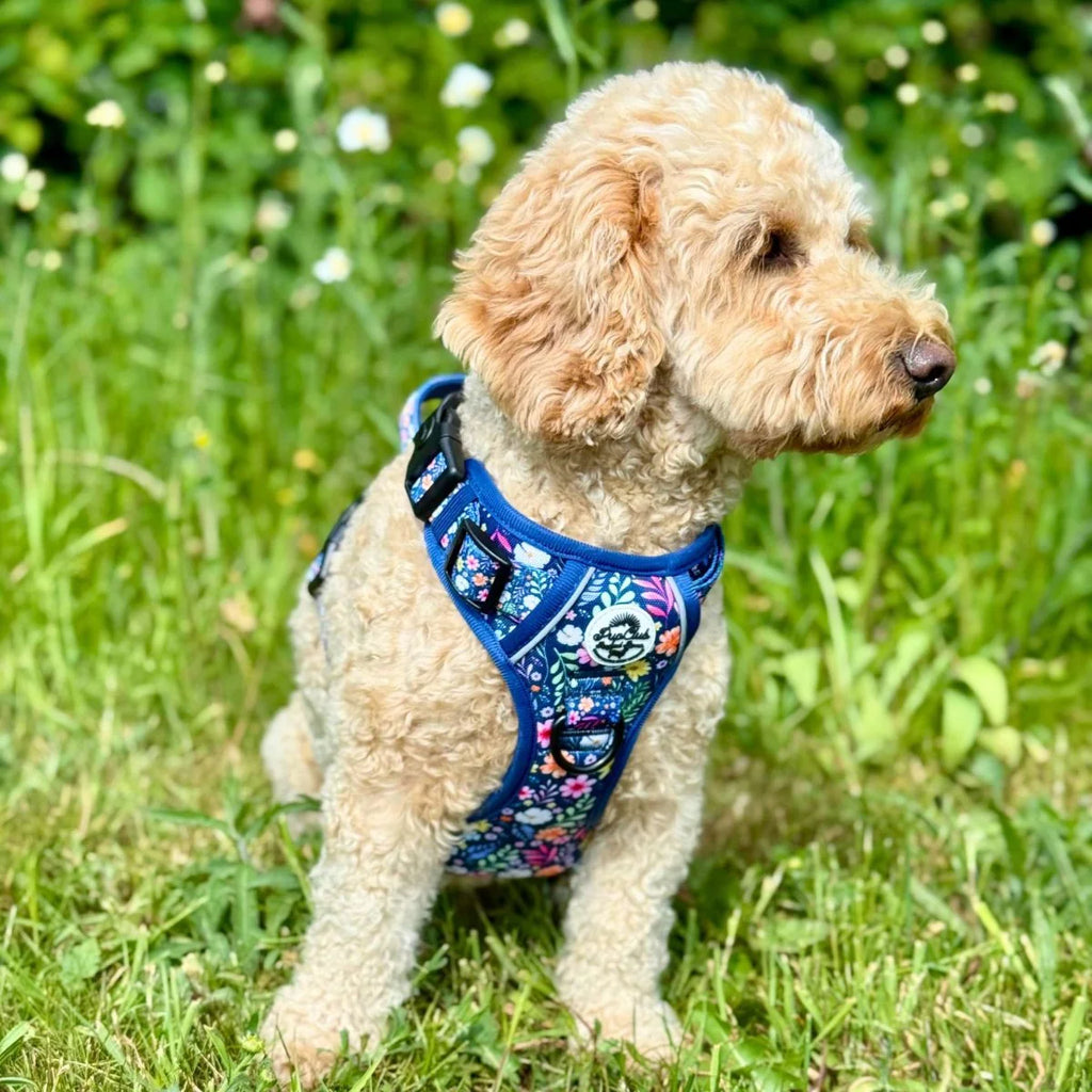WAGNESTG   Harness - Summer Meadow