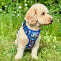 WAGNESTG   Harness - Summer Meadow