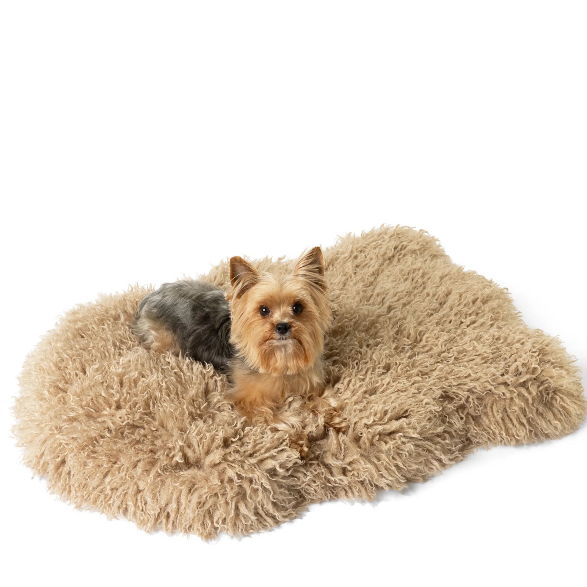 WAGNESTG  Luxe Faux Fur Orthopedic Dog Bed - Plush Sheep Tan
